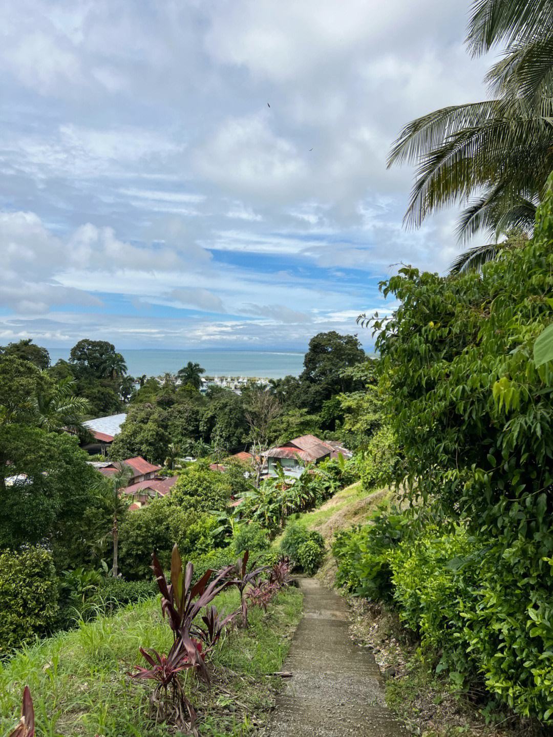 {網上賭場}(costarica说什么语言)